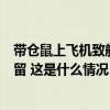 带仓鼠上飞机致航班延误，上海警方：涉事乘客已被行政拘留 这是什么情况？