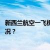 新西兰航空一飞机飞行途中遭雷击！已安全返航 这是什么情况？