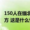 150人在缅北冒充军人搞诈骗被抓，已移交我方 这是什么情况？