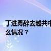 丁进勇辞去越共中央政治局委员和河内市委书记职务 这是什么情况？