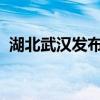 湖北武汉发布暴雨红色预警 这是什么情况？