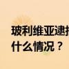 玻利维亚逮捕10名参与未遂政变的军官 这是什么情况？