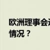 欧洲理事会通过欧盟新领导层人选 这是什么情况？