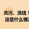 贪污、洗钱！巴西前总统博索纳罗等人被起诉 这是什么情况？