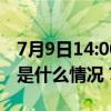 7月9日14:00！2024年上海中考成绩可查 这是什么情况？