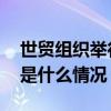 世贸组织举行第九次对中国贸易政策审议 这是什么情况？