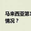 马来西亚第17任最高元首正式登基 这是什么情况？