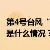 第4号台风“派比安”在海南万宁沿海登陆 这是什么情况？