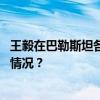 王毅在巴勒斯坦各派内部和解对话闭幕式上的致辞 这是什么情况？