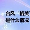 台风“格美”在福建莆田秀屿区沿海登陆 这是什么情况？