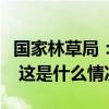 国家林草局：我国野生虎种群数量恢复性增长 这是什么情况？