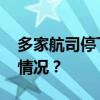 多家航司停飞，英国：离开黎巴嫩 这是什么情况？