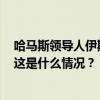 哈马斯领导人伊斯梅尔·哈尼亚在德黑兰住所内遭空袭身亡 这是什么情况？