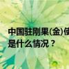 中国驻刚果(金)使馆提醒：中国公民不得在刚东四省采矿 这是什么情况？