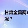 甘肃金昌两车相撞，造成4死3伤 这是什么情况？