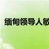 缅甸领导人敏昂莱会见王毅 这是什么情况？