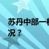 苏丹中部一村庄遭袭致80人死亡 这是什么情况？