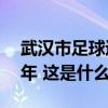 武汉市足球运动管理中心原主任付翔获刑11年 这是什么情况？