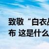 致敬“白衣战士”！2024年“最美医生”发布 这是什么情况？