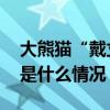 大熊猫“戴立”因心脏病和器官衰竭离世 这是什么情况？