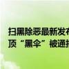 扫黑除恶最新发布！湖北省公安厅刑侦总队原副总队长等三顶“黑伞”被通报 这是什么情况？