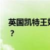 英国凯特王妃已完成化疗治疗 这是什么情况？