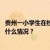 贵州一小学生在校内寝室发生意外死亡，官方最新通报 这是什么情况？