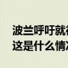 波兰呼吁就德国恢复边境管制问题进行磋商 这是什么情况？