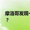 摩洛哥发现一例猴痘确诊病例 这是什么情况？