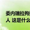 委内瑞拉拘捕14名涉嫌破坏该国稳定的外国人 这是什么情况？