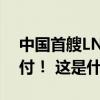 中国首艘LNG双燃料动力耙吸式挖泥船，交付！ 这是什么情况？