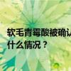 软毛青霉酸被确认是小林制药问题保健品损害健康原因 这是什么情况？