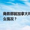 商务部就加拿大对华相关限制性措施进行反歧视调查 这是什么情况？