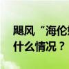 飓风“海伦妮”已在美造成223人死亡 这是什么情况？