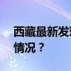 西藏最新发现301处不可移动文物 这是什么情况？