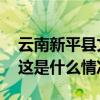 云南新平县文旅局回应哀牢山景区安全问题 这是什么情况？