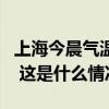 上海今晨气温创入秋以来新低，升温即将返场 这是什么情况？