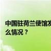 中国驻荷兰使馆发言人就“藏独”分子窜荷发表谈话 这是什么情况？