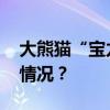 大熊猫“宝力”“青宝”抵达美国 这是什么情况？