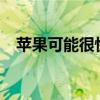 苹果可能很快会提供更大显示尺寸的iPad