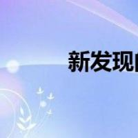 新发现的解剖学盾牌和监控大脑