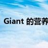 Giant 的营养师将于 6 月开设免费虚拟课程