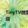 TinyTV微型电视机在Kickstarter上大受欢迎