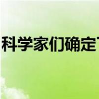 科学家们确定了与左撇子相关的四个遗传区域