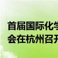 首届国际化学校高峰论坛暨国际化学校行业年会在杭州召开